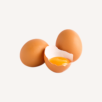 Egg Collection
